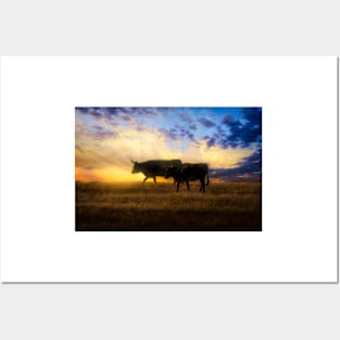 Pair Of Cows At Sunset photograph Posters and Art